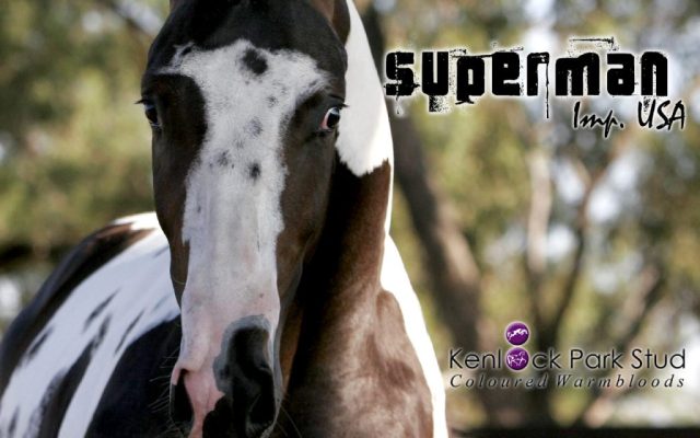 supermanwallpaper